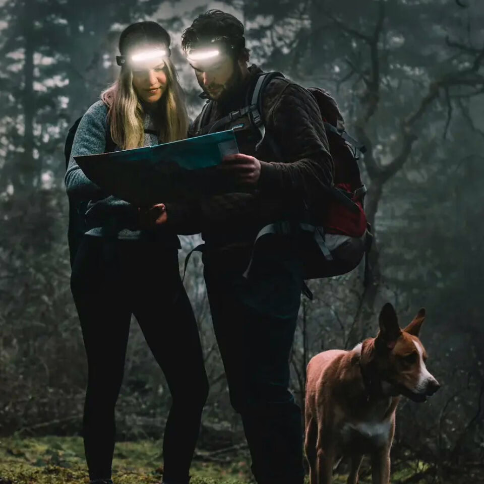 LumenLight image